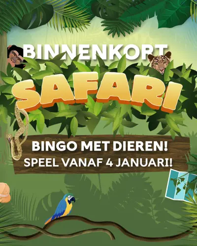 Safari Bingo Facebookv2